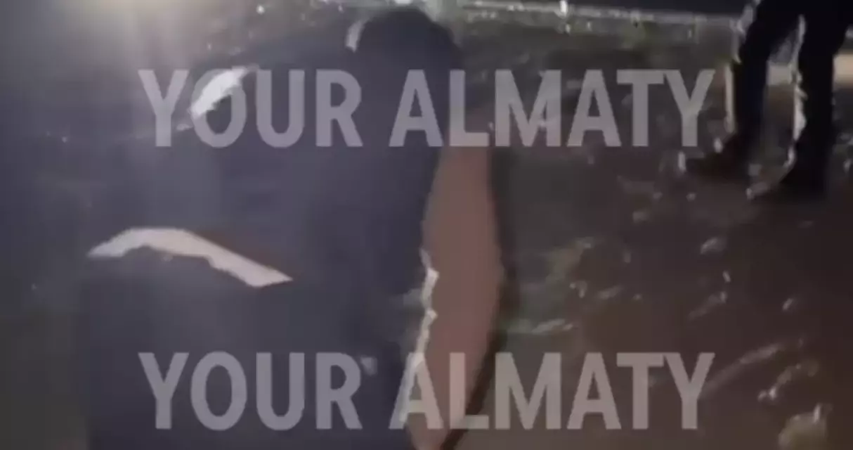 Алматы маңындағы тасжолда екі көлік соқтығысып, төрт адам көз жұмды – полиция іс қозғады