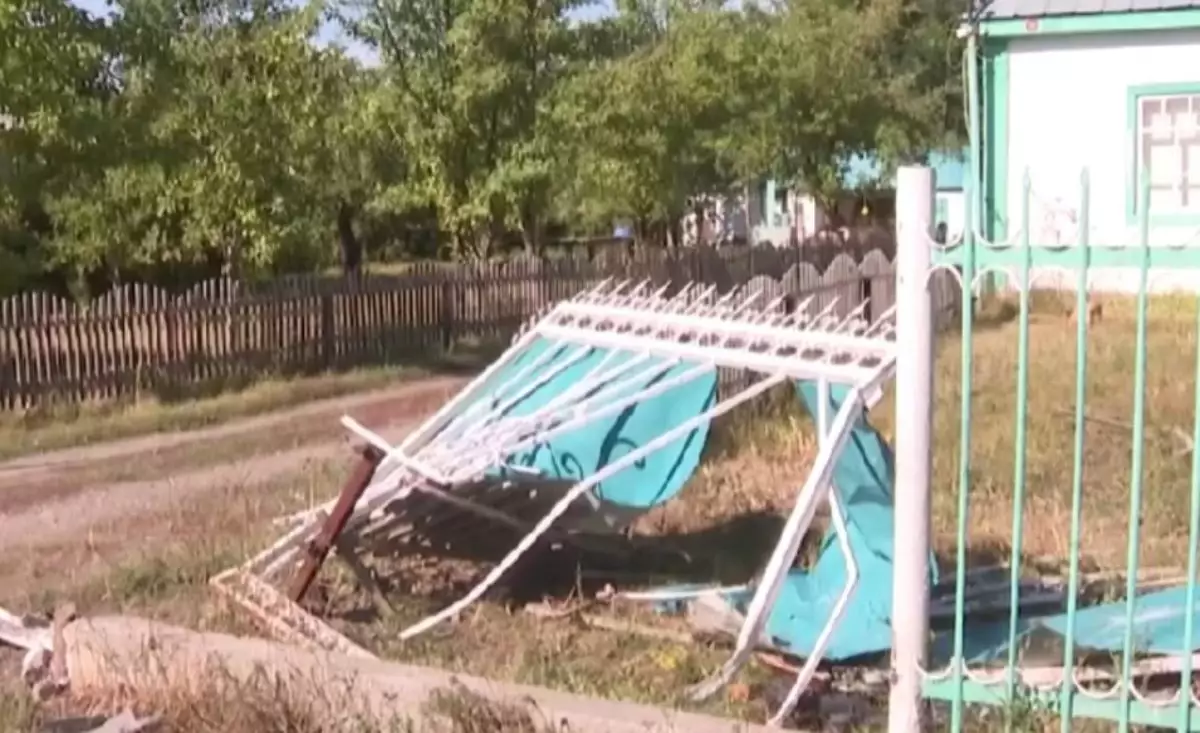 "Үш қызымнан айырылып қалдым": Бестеректегі балалар өлімі бойынша эпилепсиясы бар адамға жүргізуші куәлігін бергендерді жазалауды талап етті