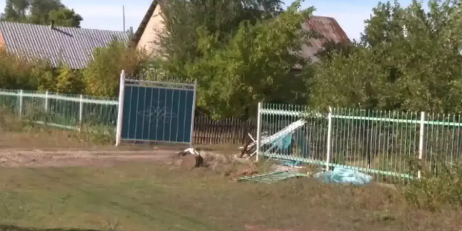 «Тәте, мен тұра алмаймын»: Бестеректегі оқиға туралы куәгер сұмдық жайттарды баяндады