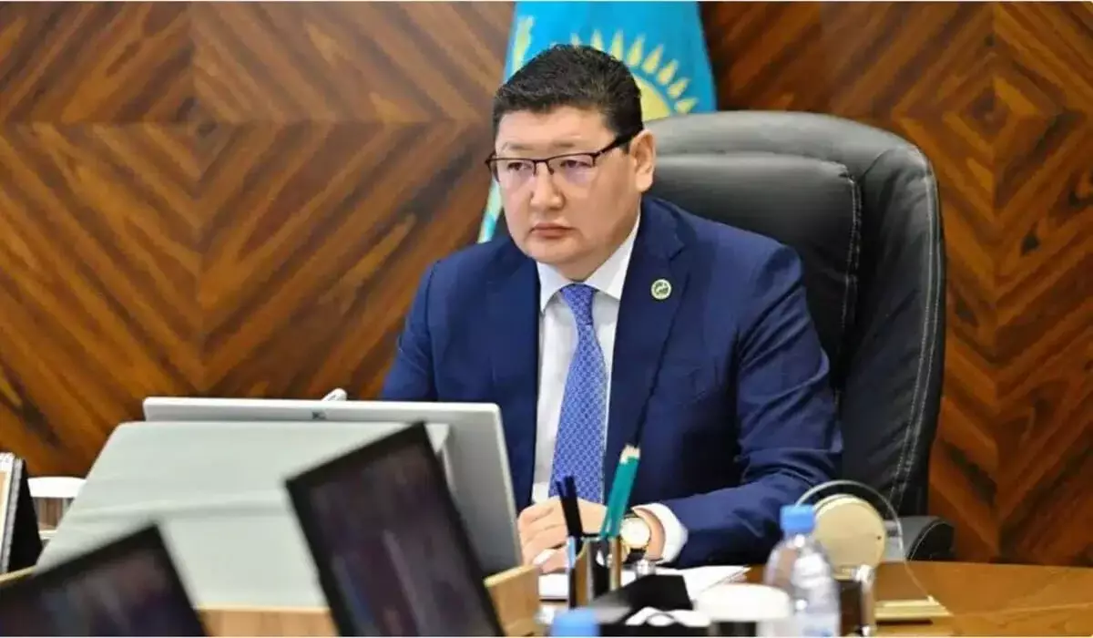 Берик Уали: Нам нужно использовать наши возможности