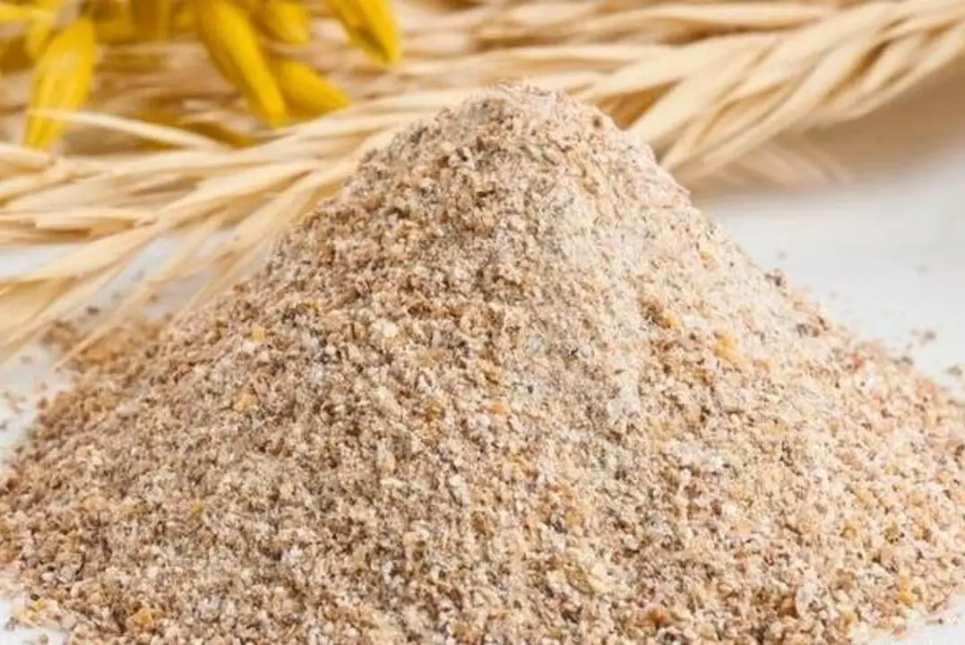 Казахстан экспортировал ещё 7 тысяч тонн кормовой муки в Китай