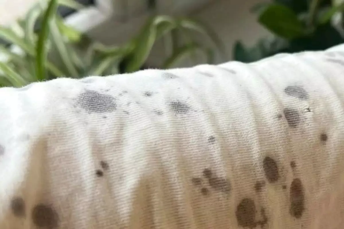 Грязный дождь испачкал одежду жителям Алматы: названа причина