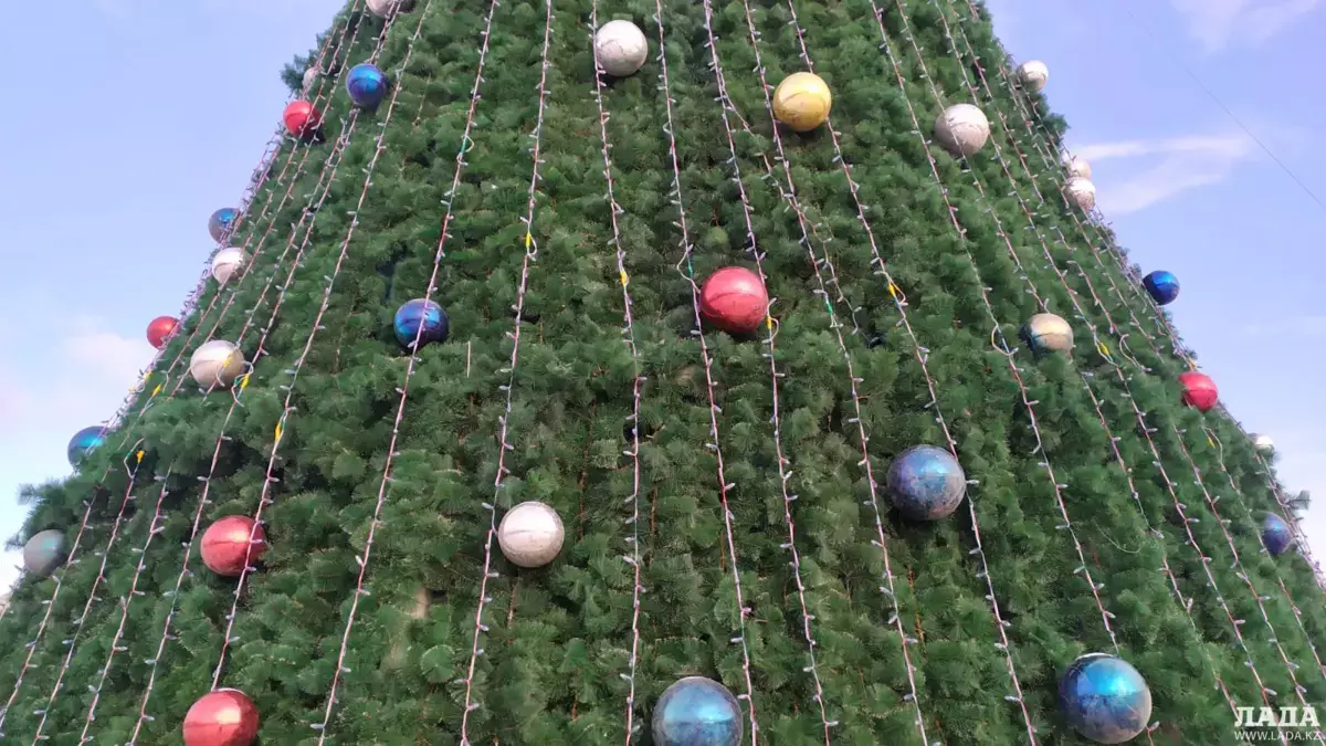 Пронизывающий ветер и долгие поездки: жители Актау недовольны расположением новогодних елок - новости на Lada.kz 09.12.2025