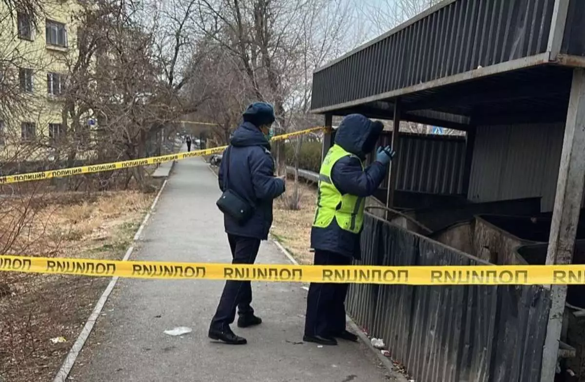 Түркістан облысында қоқыс жәшігінен жаңа туған нәрестенің мәйіті табылды