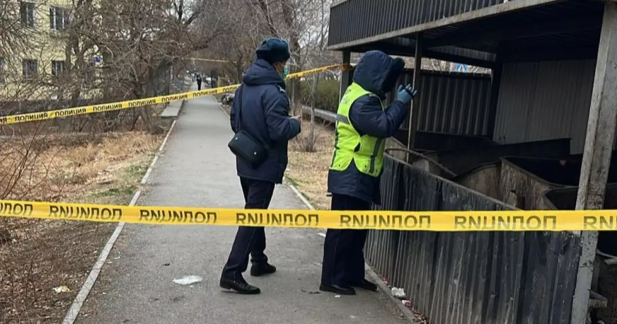   Кентау қаласында қоқыс контейнерінен жаңа туған нәрестенің мәйіті табылды   