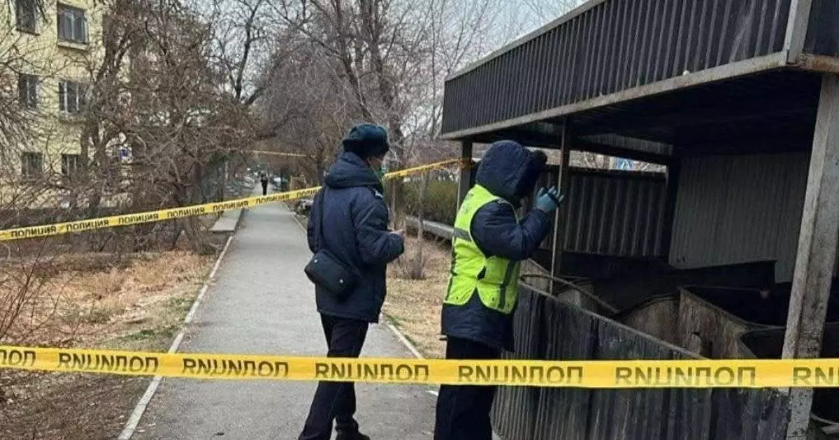  Түркістан облысында қоқыстан жаңа туған нәрестенің денесі табылды 