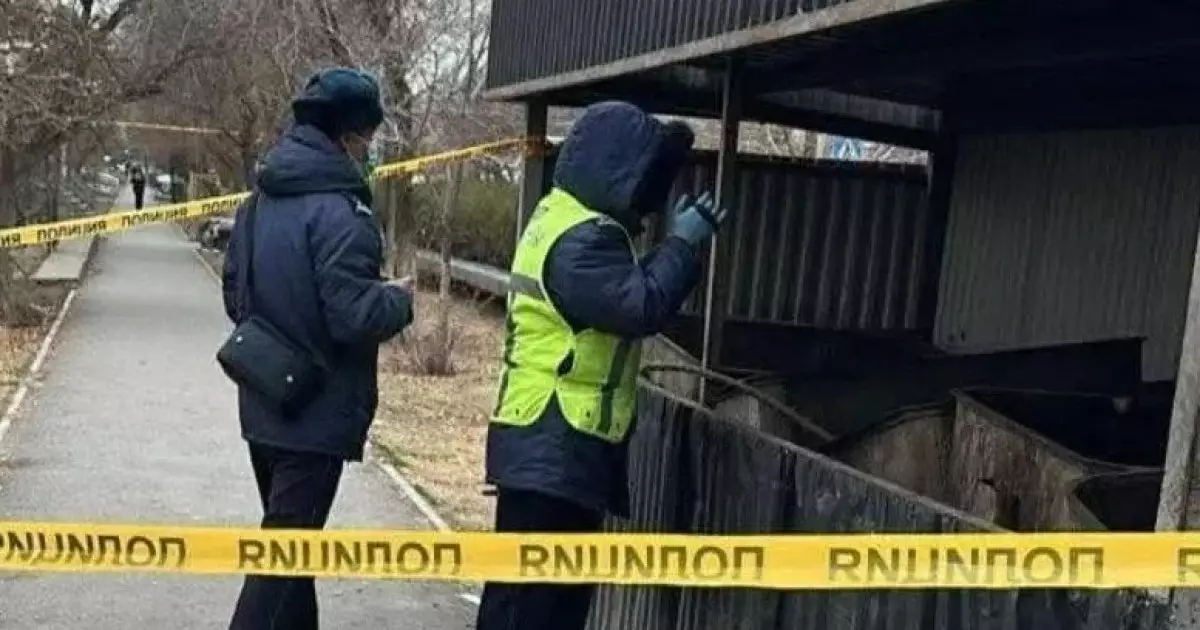  Кентау қаласында қоқыстан жаңа туған сәбидің мәйіті табылды 