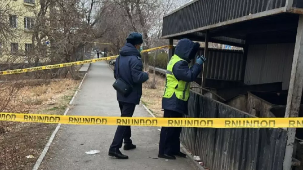 Младенца выбросили в мусорный контейнер в Кентау: полиция ищет мать