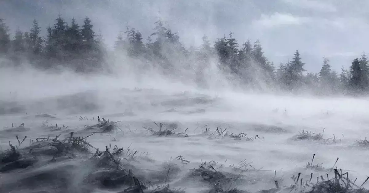  10 желтоқсанға арналған ауа райы болжамы жарияланды 