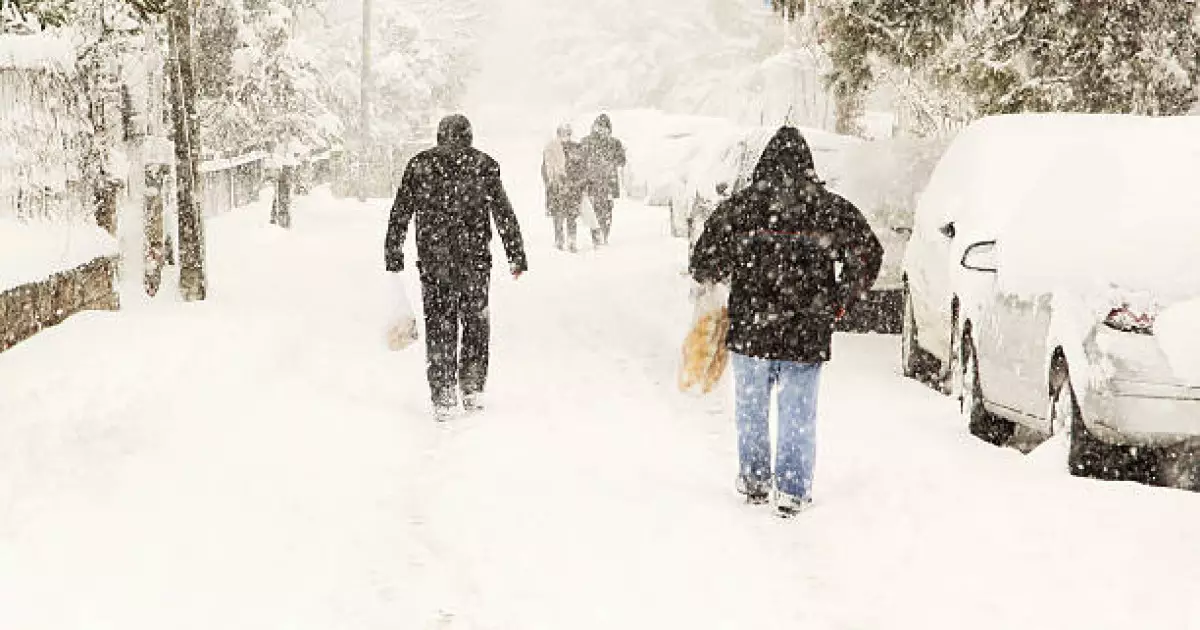   Қар жауады, бұрқасын, көктайғақ болады: 10 желтоқсанға ауа райы болжамы   