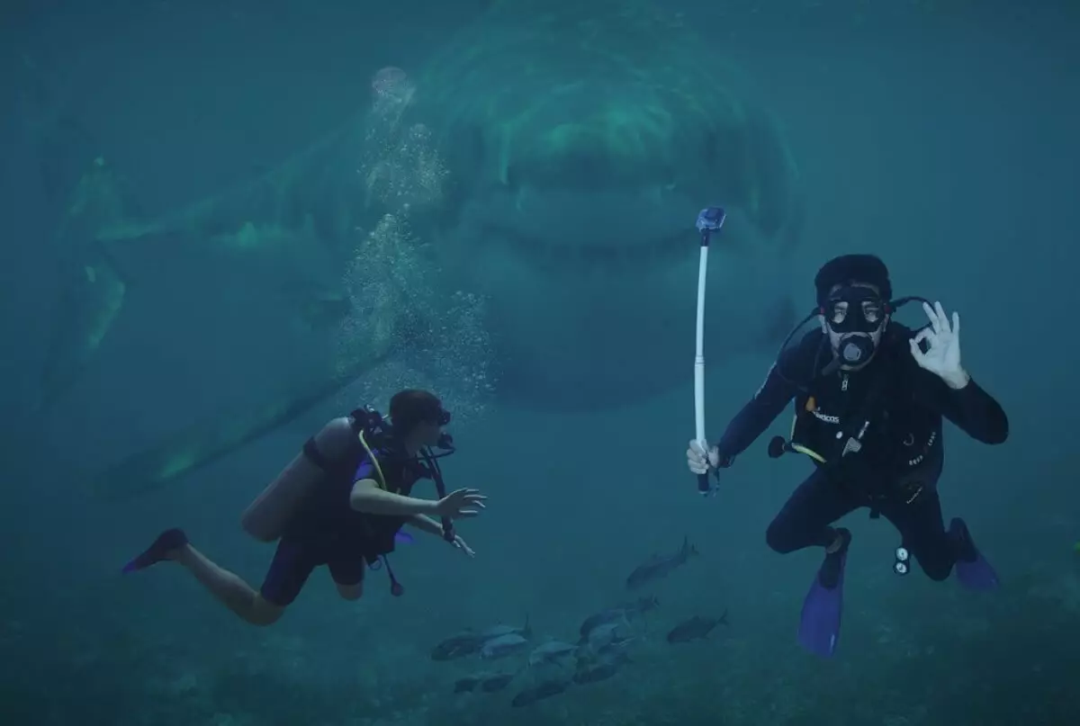 Акула напала на людей во время снорклинга на Мальдивах