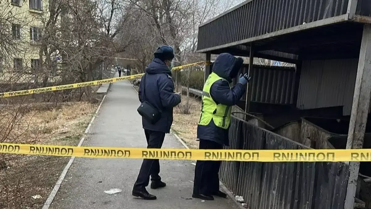 Кентаудағы келеңсіздік: қоқыс контейнерінен жаңа туған сәбидің денесі табылды