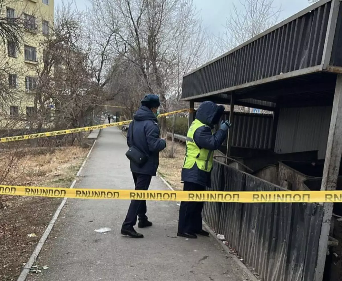 Түркістан облысында қоқыс контейнерінен нәрестенің денесі табылды