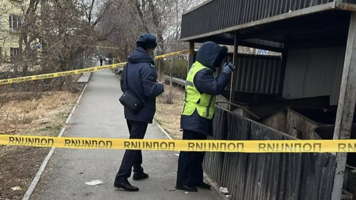 Кентауда қоқыс жәшігінен сәби өлі табылды