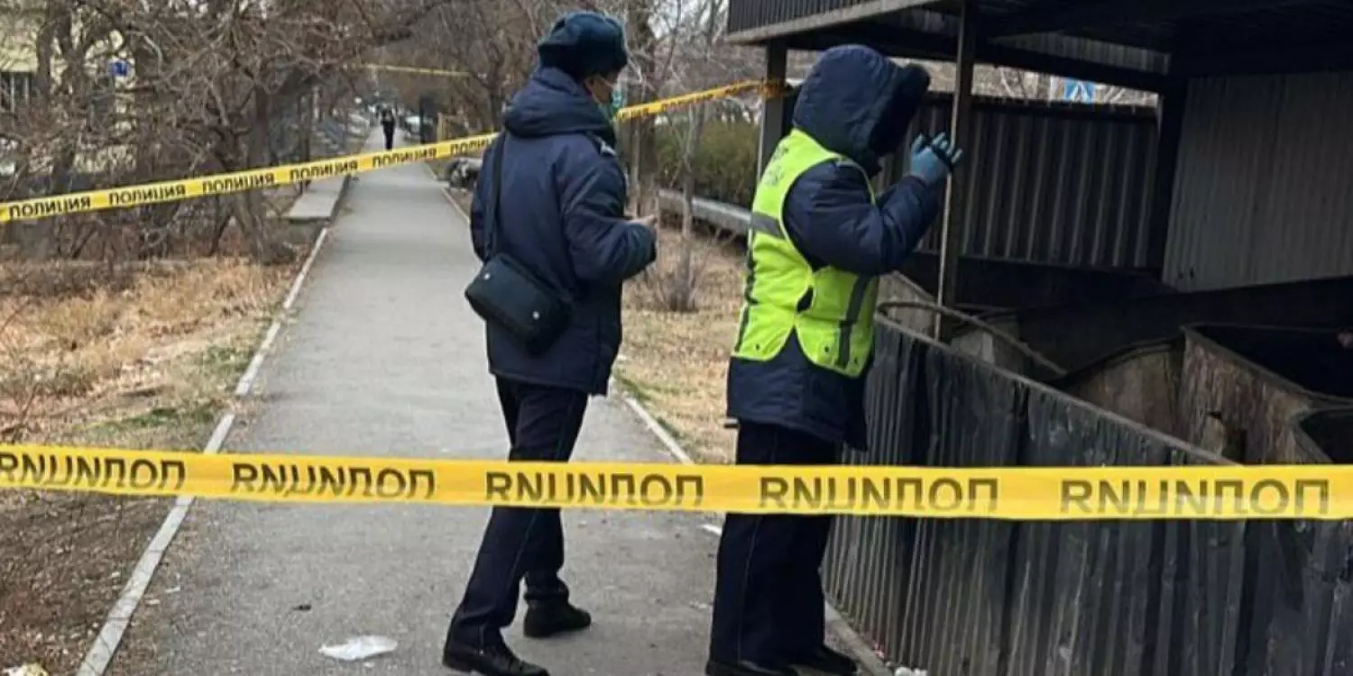 Кентауда қоқыс жәшігінен жаңа туған нәрестенің денесі табылды