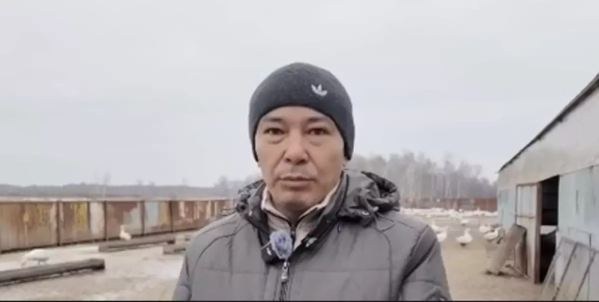 Қостанайда құстар қырылып жатыр: Жергілікті әкімдік зертханалық қорытындыны мойындамай отыр