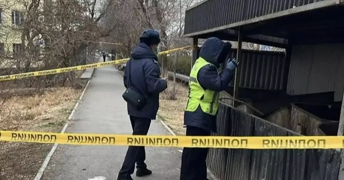  Кентауда қоқыс контейнерінен жаңа туған сәбидің денесі табылды 