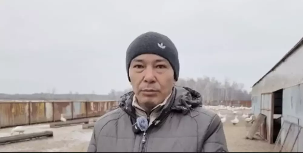 Қостанайда құстардың жаппай қырылуы тіркелді: әкімдік зертханалық қорытындыны қабылдамай отыр