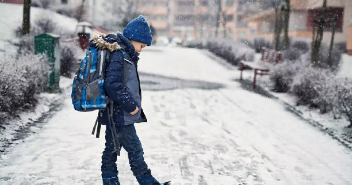  Астанада екінші ауысымның бастауыш сынып оқушылары қашықтан оқиды 