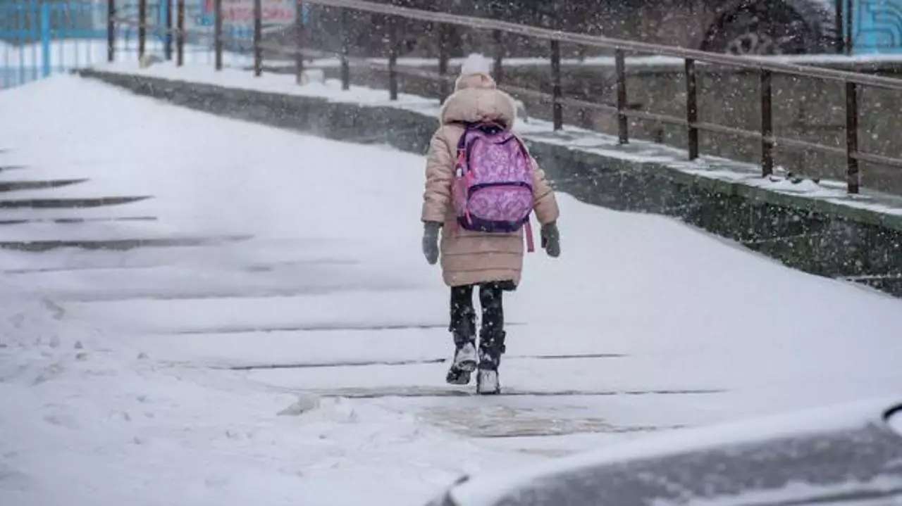 Учащихся начальных классов столичных школ перевели на онлайн-обучение