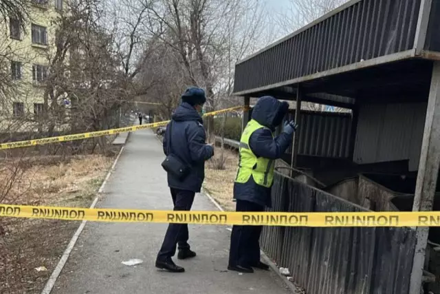 Түркістан облысында қоқыс контейнерінен нәрестенің денесі табылды