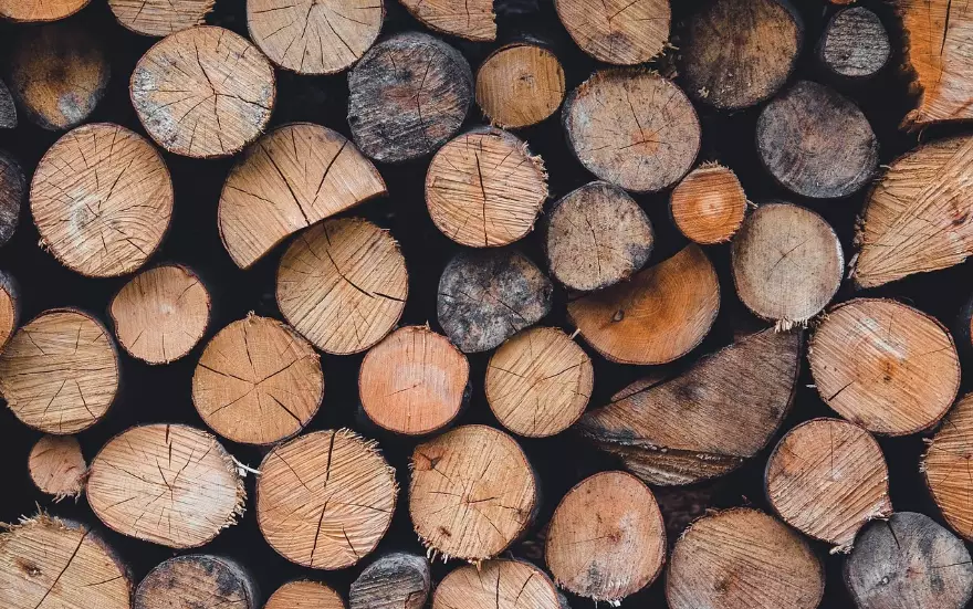 Запрет на вывоз лесоматериалов ввели в Казахстане