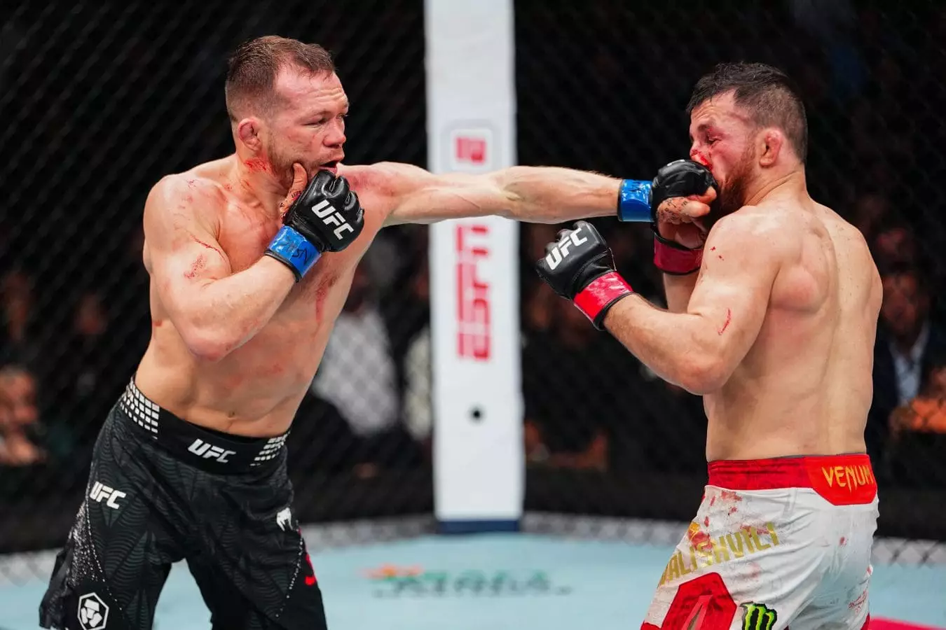 Мераб Двалишвили Петр Янмен "трилогия" болатынын растады