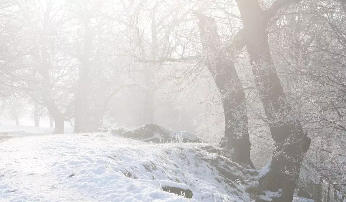 Морозы спадают: потепление придет в Казахстан в ближайшие дни