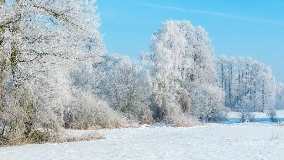 Аяздың беті қайтады: алдағы күндерге арналған ауа райы болжамы жарияланды
