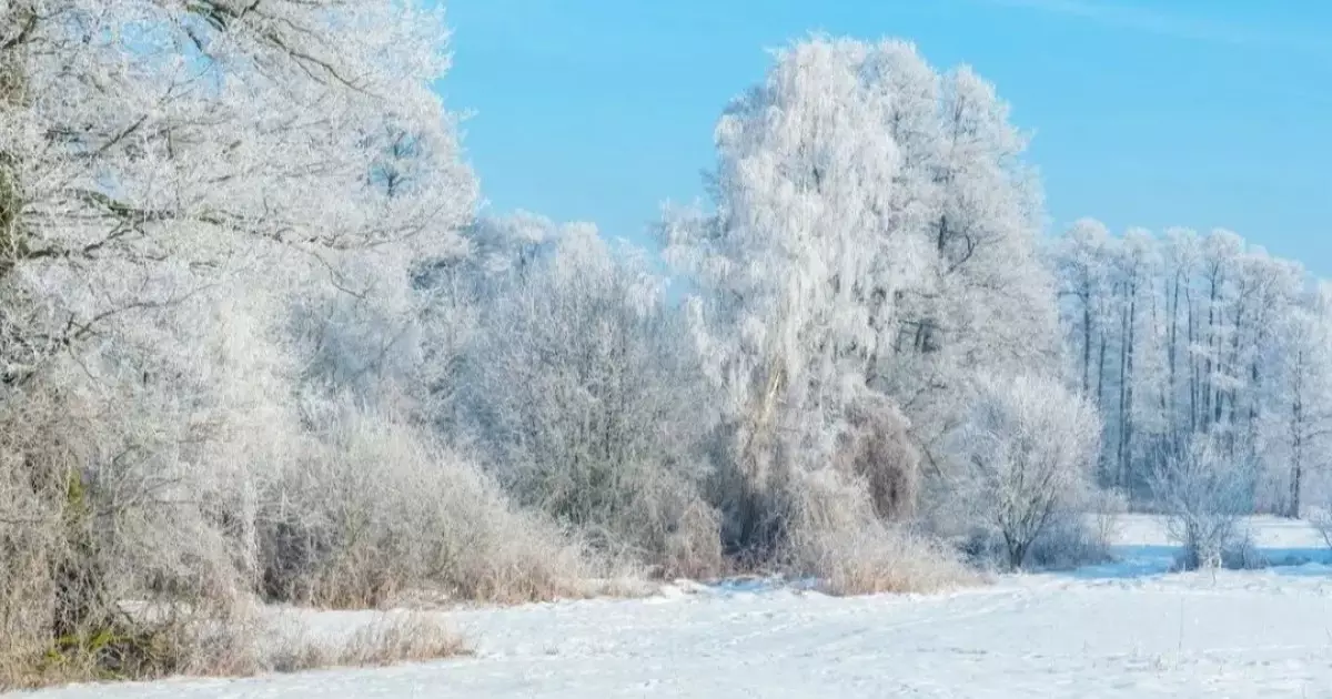  Аяздың беті қайта ма? Алдағы күндерге арналған ауа райы болжамы 
