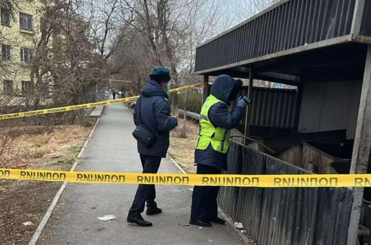 Мать выбросила мертвого младенца в мусорку, страшную находку нашли в Кентау