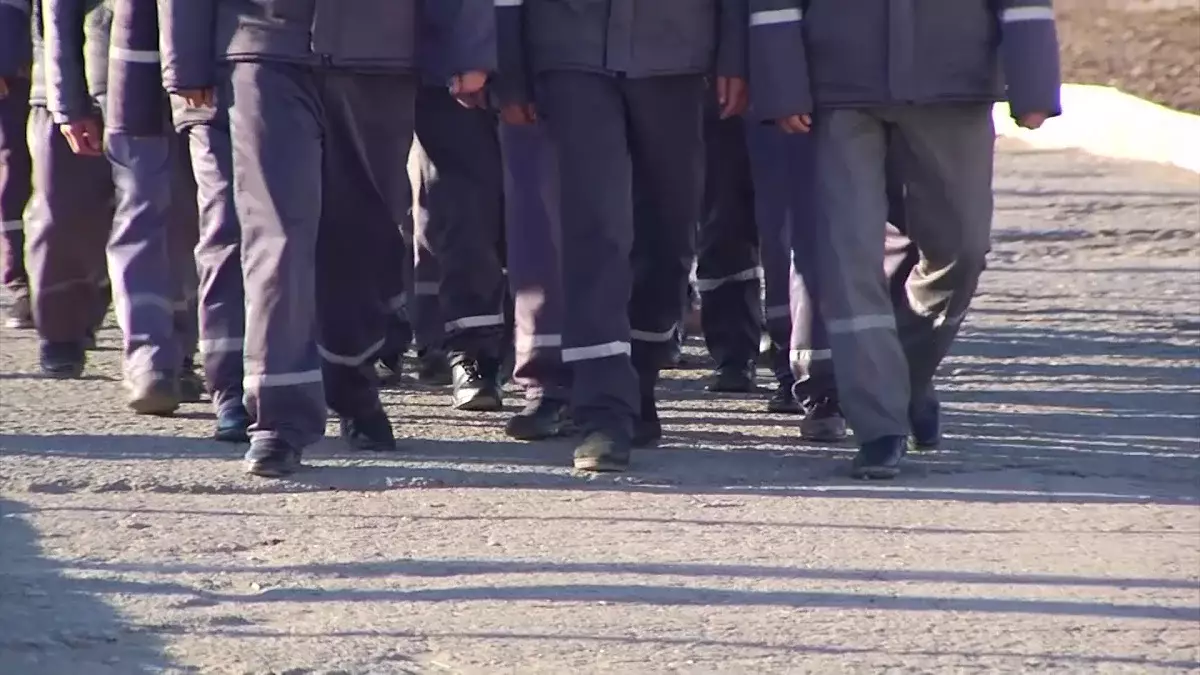 Түркістан облысында заңсыз әрекеттер жасаған сотталғандар жазаланды