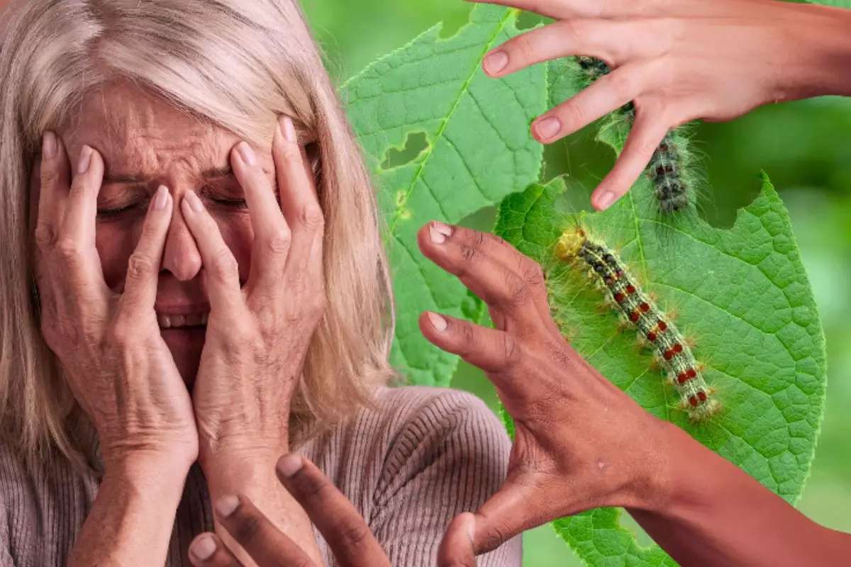 Жұмсақ ағаш құртқа жем, жұмсақ адам жұртқа жем