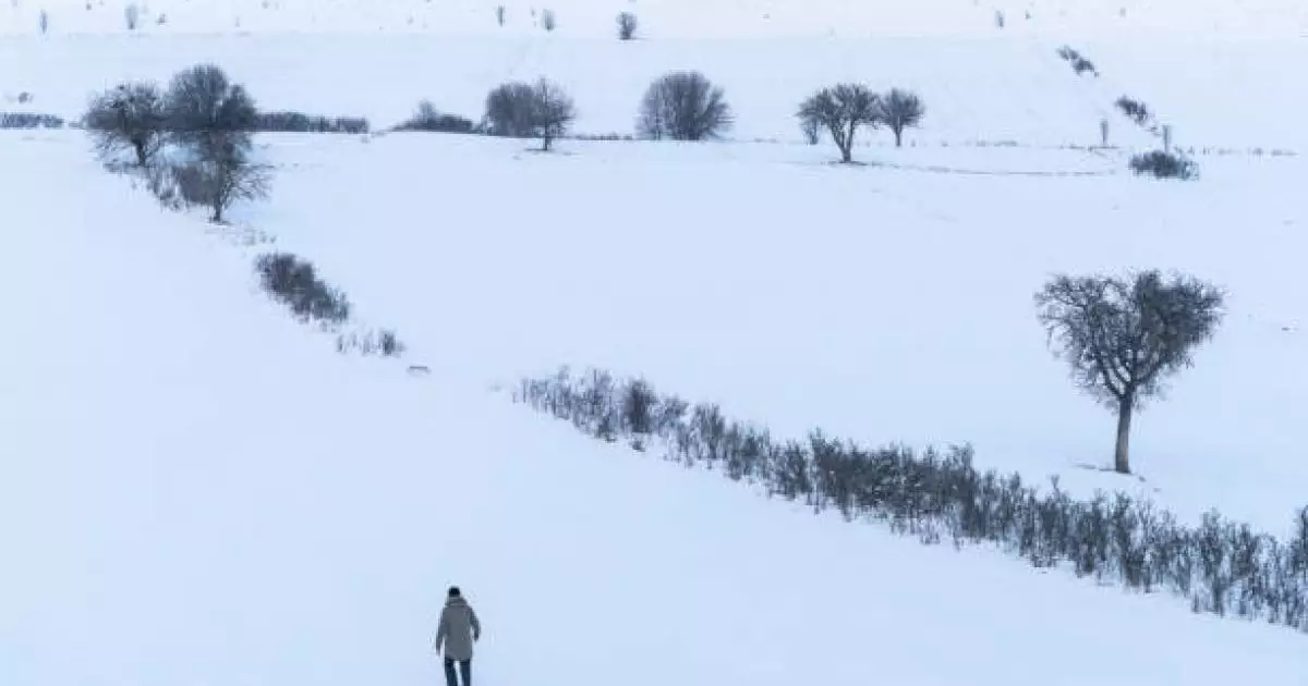  Павлодар облысында қырда малын іздеуге кеткен 2 тұрғын жоғалып кеткен 