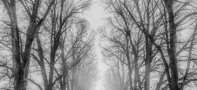 О непогоде предупредили жителей некоторых регионов Казахстана