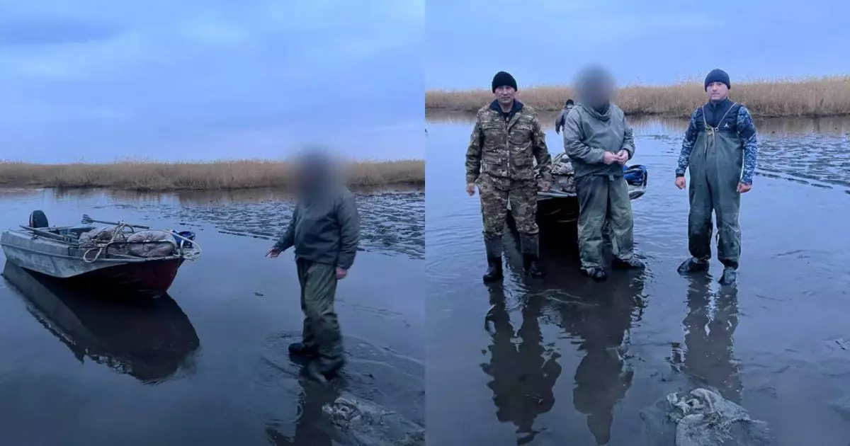   Мемлекетке қомақты шығын келтірген браконьер ұсталды   