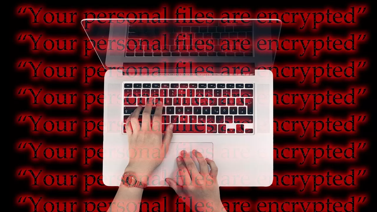 Қазақстандық спортшылардың жеке деректері желіде тарап кеткен