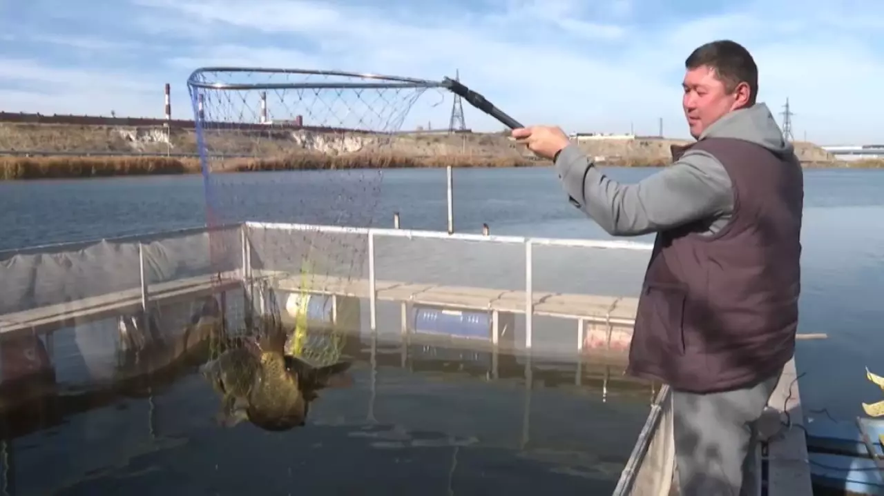 Минсельхоз озвучил планы по модернизации рыбного хозяйства