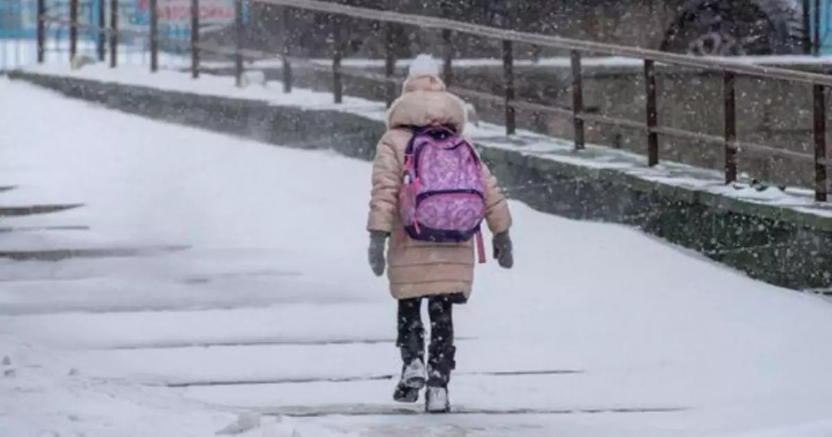   Ертең Астанада бастауыш сынып оқушылары мектепке бармайды   