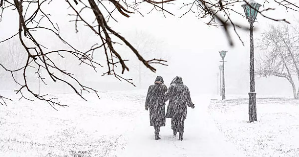   11 желтоқсанда қалың қар жауып, аяз болады: синоптиктер ескерту жасады   