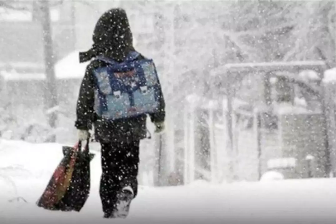 Столичные ученики начальных классов переведены на дистанционное обучение