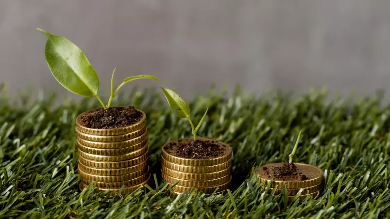 1000-нан астам шаруа ерте қаржыландыруға өтінім берді