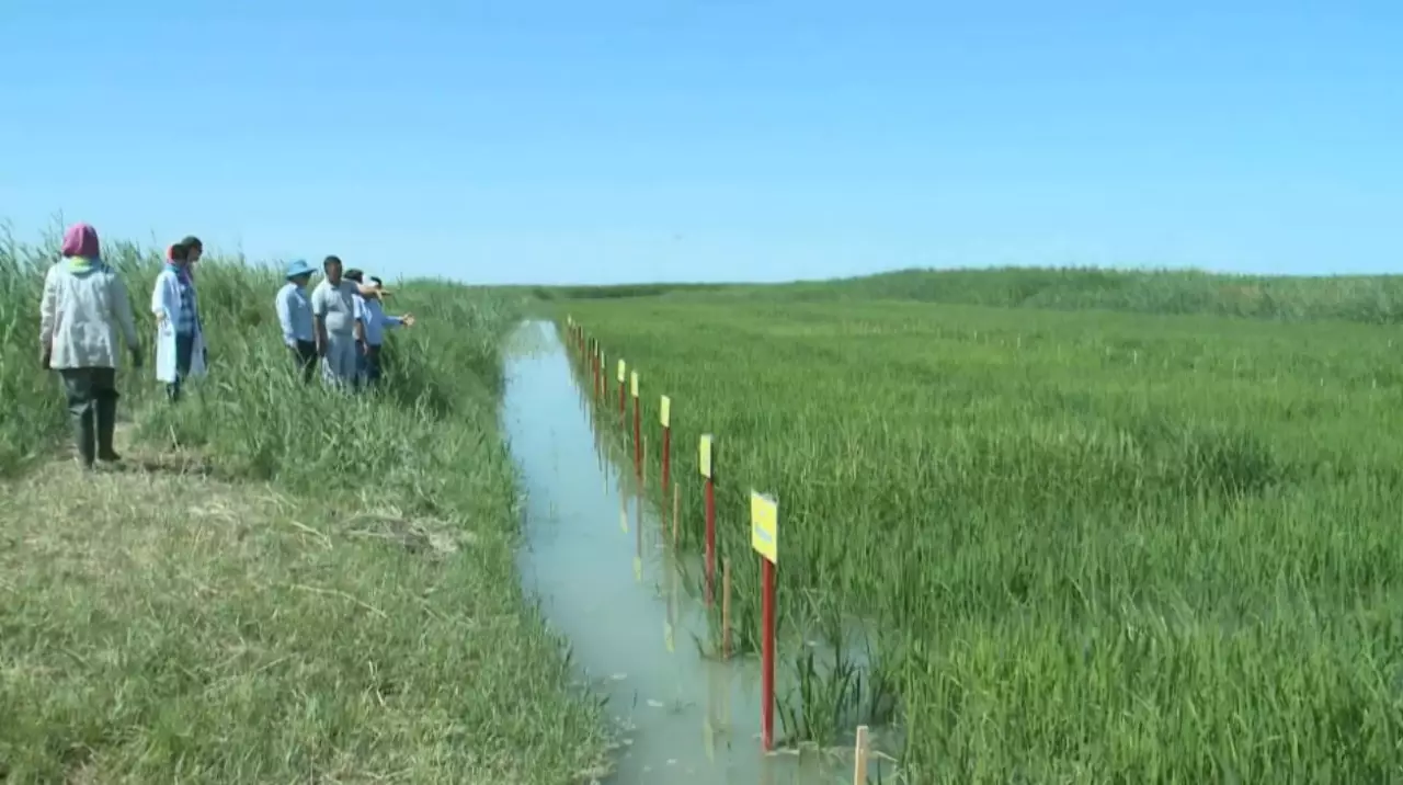 Оңтүстікте су тапшылығы болуы мүмкін