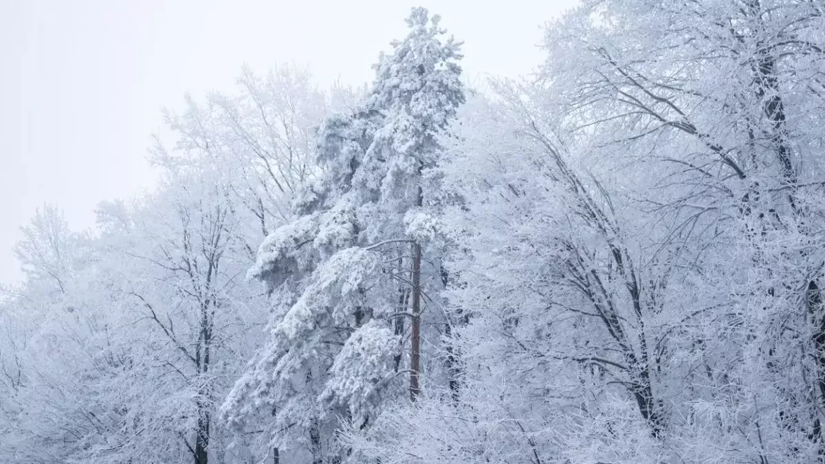 Бейсенбі күні Қазақстанда ауа райы қандай болады