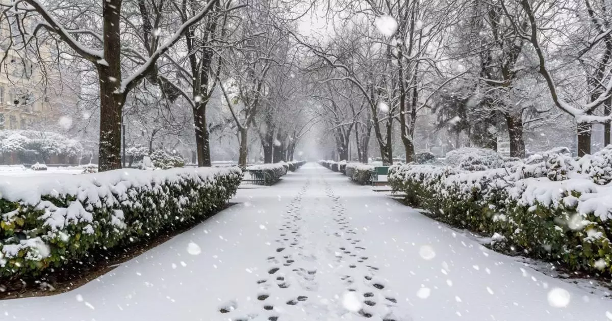  11 желтоқсанға арналған ауа райы болжамы 