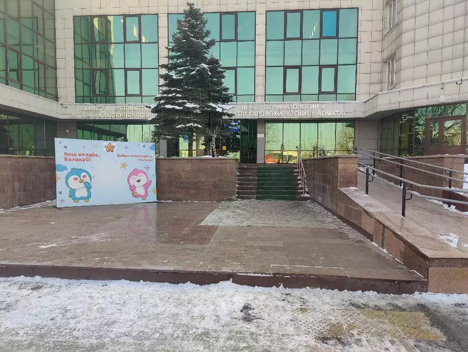 Анадан ақша қымбат: Алматыда жас босанған әйел ауруханада көз жұмды