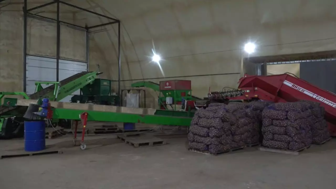 БҚО-да көкөніс қоймасы көбейді