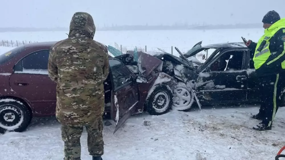 Алматы-Өскемен тасжолындағы жол апаты: төрт адам қаза тауып, төртеуі ауруханаға түскен