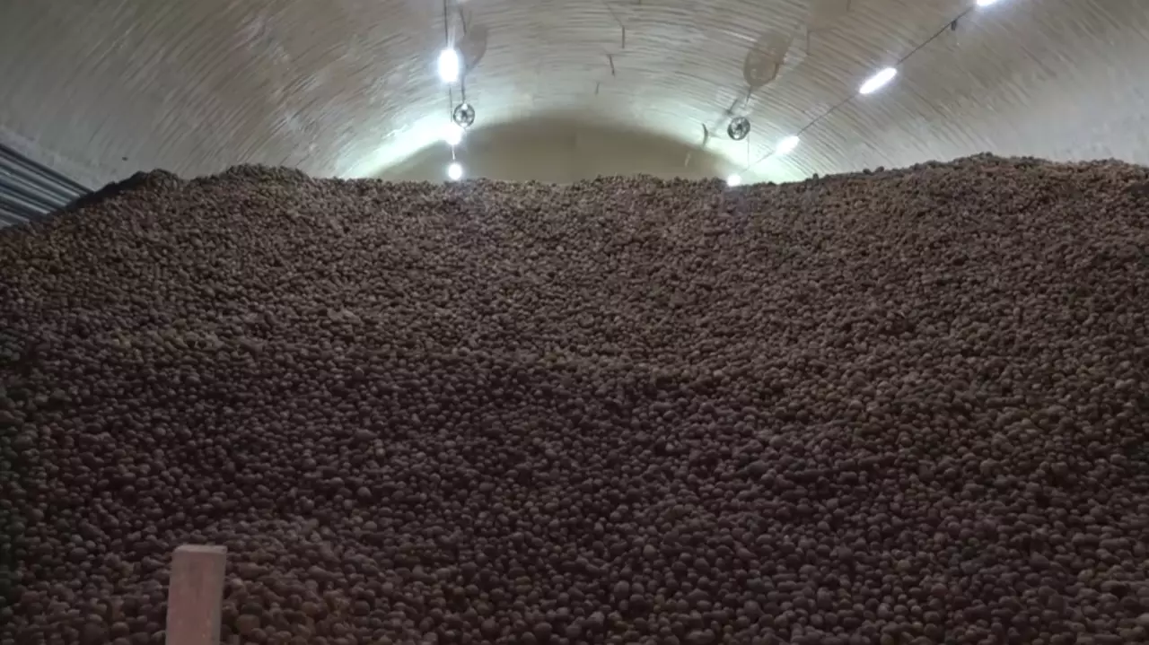 Мощности для хранения овощей увеличивают в ЗКО