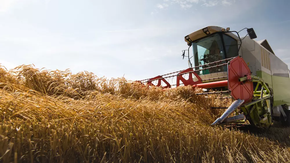 В Павлодарской области назвали ключевые направления развития агросектора